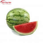 Fresh Watermelon (Big)