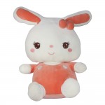 Rabbit Character Doll