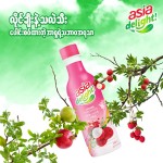 Asia Delight Lychee Pomegranate Juice 250ml