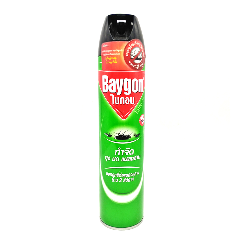 Baygon Insect Killer Spray Regular 600ml 