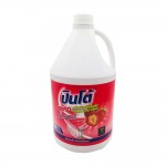 Pinto Dishwashing Liquid Soap Strawberry Scented 3800ml