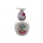 Kirei Kirei Hand Soap 250ml (Pump)