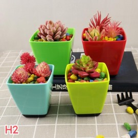Easy Life Cactus Plant Pot H2