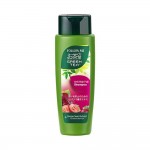 FM G/Tea Shampoo Anti-Hair Grape