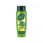 Follow Me Green Tea Sclap Fresh Shampoo 320ml