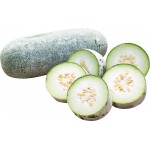 Fresh - Winter Melon ( Kyauk Phayone )