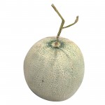 Cantaloupe Fruit 1.9kg
