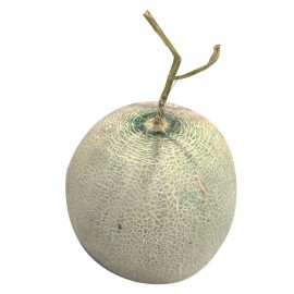 Cantaloupe Fruit 1.9kg