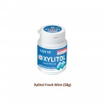 Lotte Xylitol Fresh Mint 58g