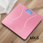 Electronic Weight Scale MX-S