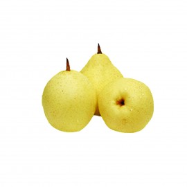 Snow pear