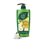 Follow Me Green Tea Damage Repair Shampoo 650ml