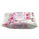 Ultra Compact Wet Wipes Japanese Cherry Blossom 90's