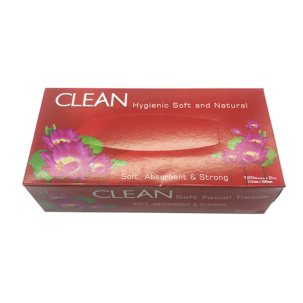 Clean Soft Facial Tissue Box 2ply 120's