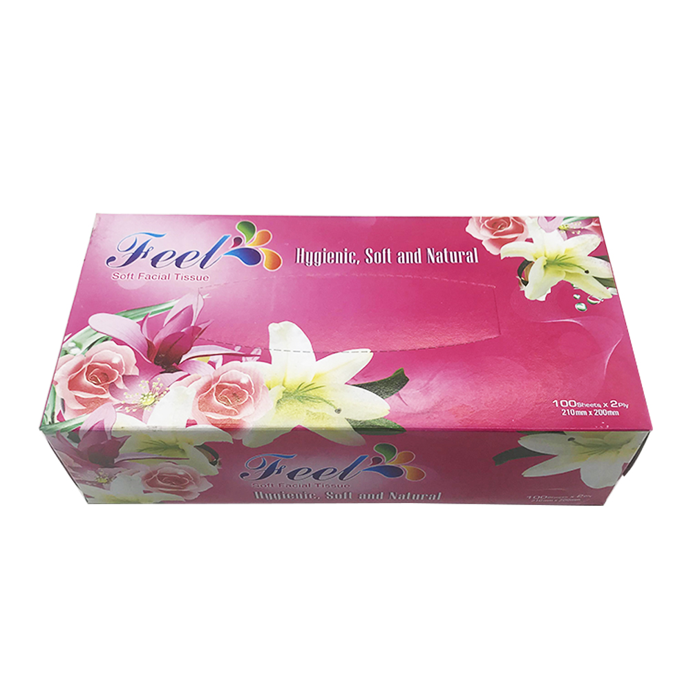 Feel Soft Facial Tissue Box 2ply 100's