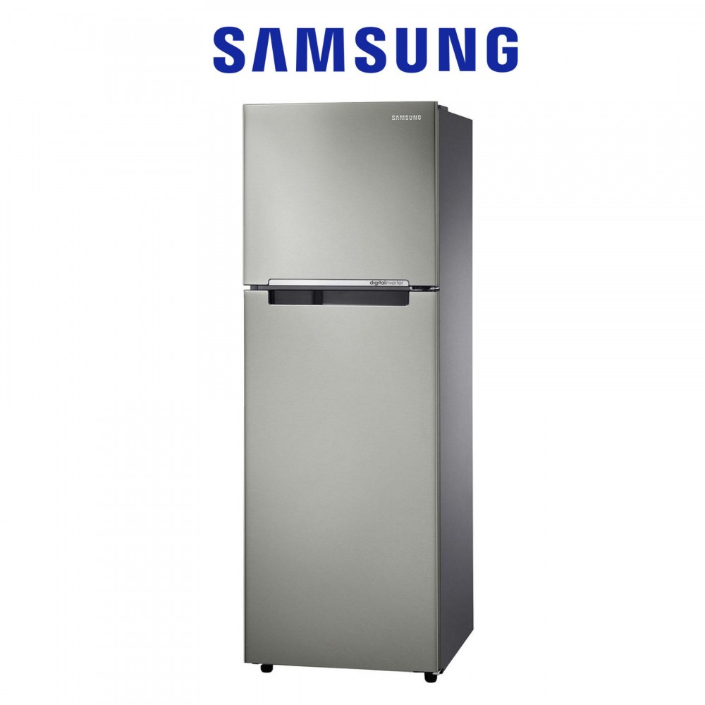 Samsung 2 Door Refrigerator 234Liter (RT22FARBDS8)